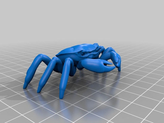 Picture of Crab