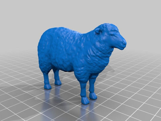 Picture of Sheep