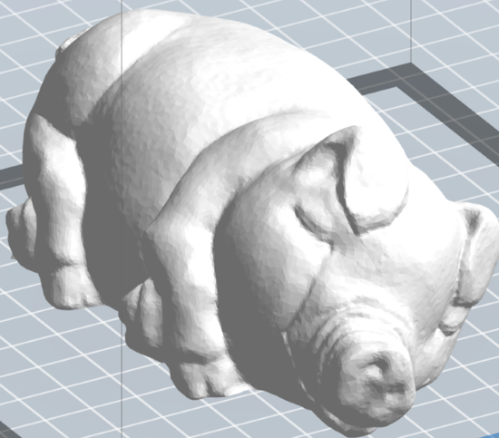 Picture of Sleeping Pig