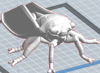 Picture of Cicada