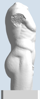 Picture of Male Torso, Diadumenus Type